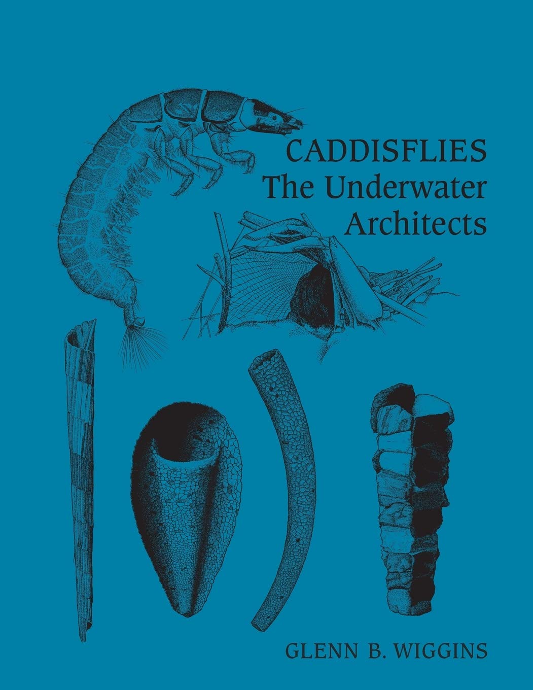 Caddisflies: The Underwater Architects