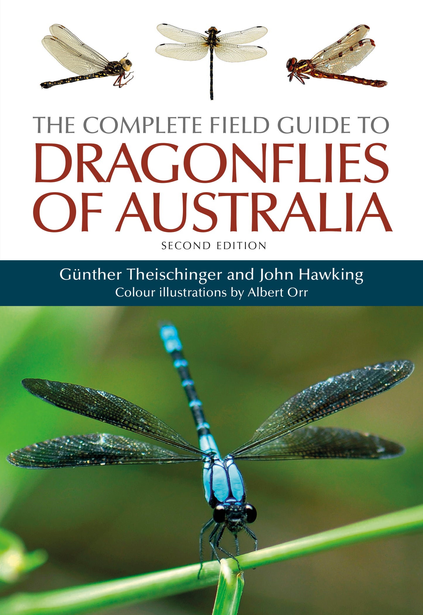 The Complete Field Guide to Dragonflies of Australia: Second Edition