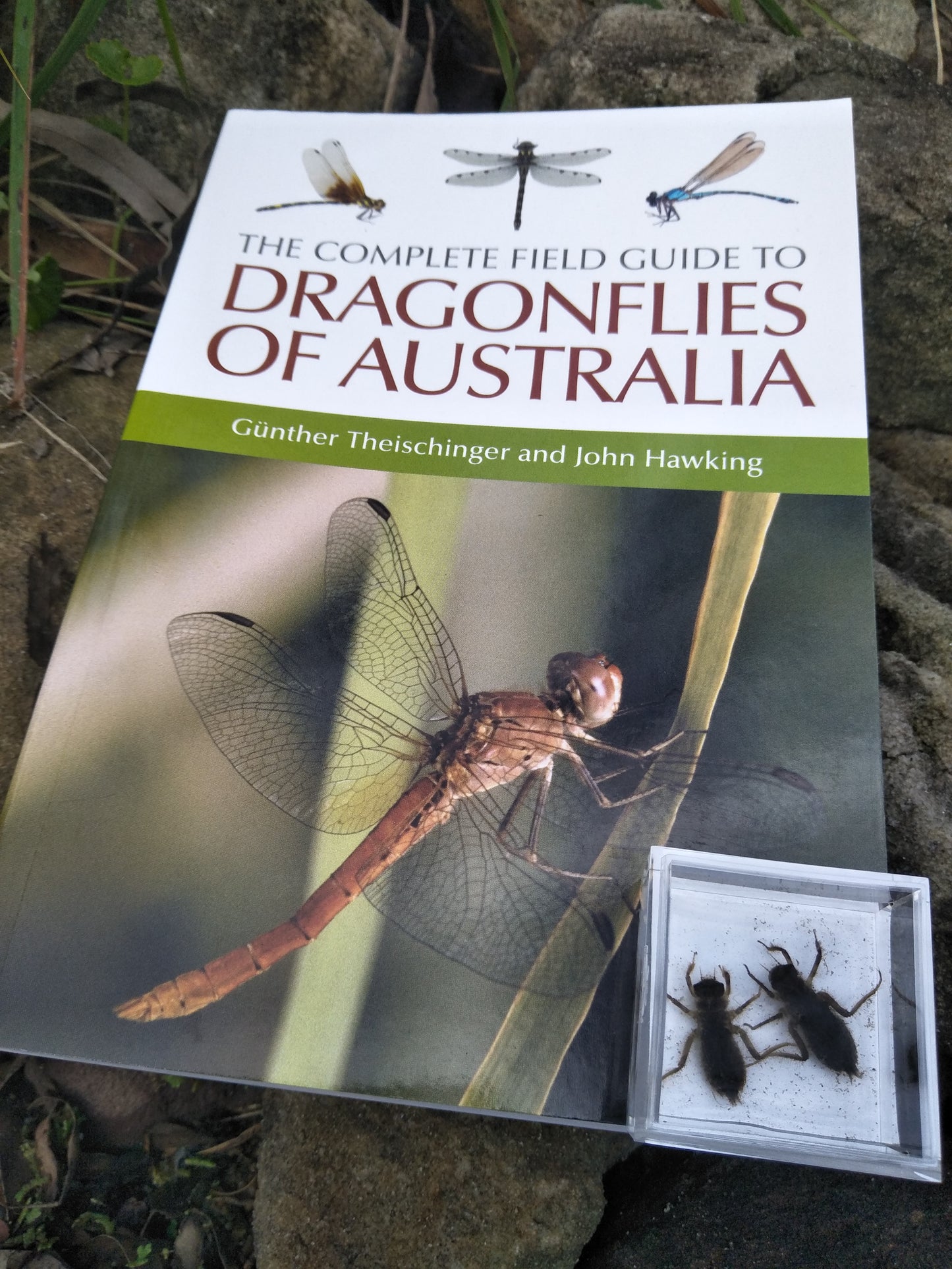 The Complete Field Guide to Dragonflies of Australia