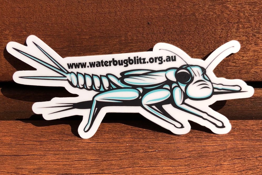 National Waterbug Blitz bumper sticker