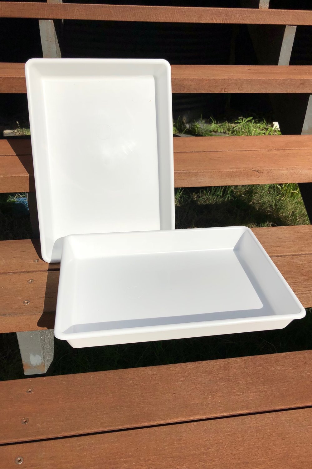Waterbug Picking Tray