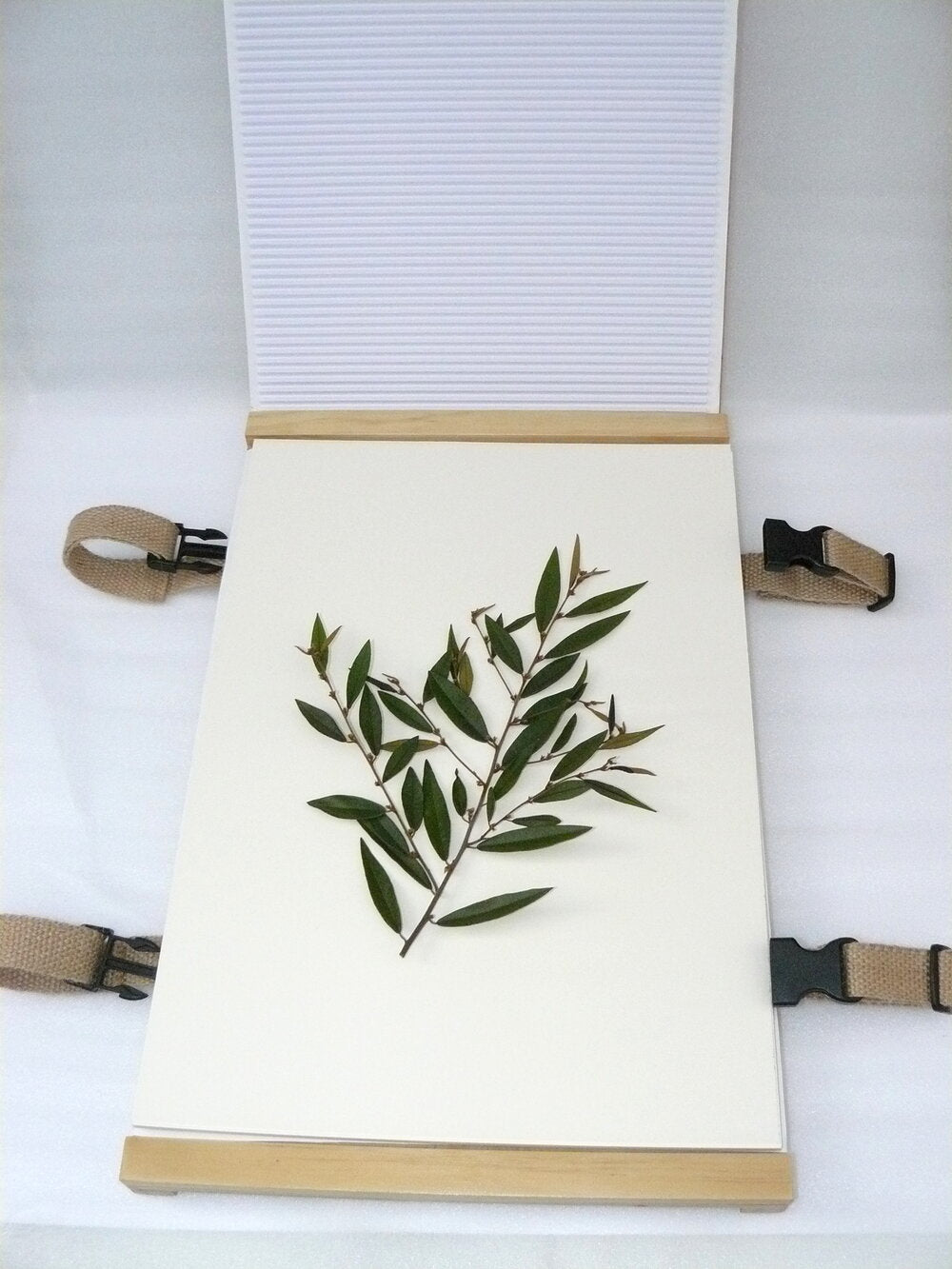 Plant Press A3 Premium