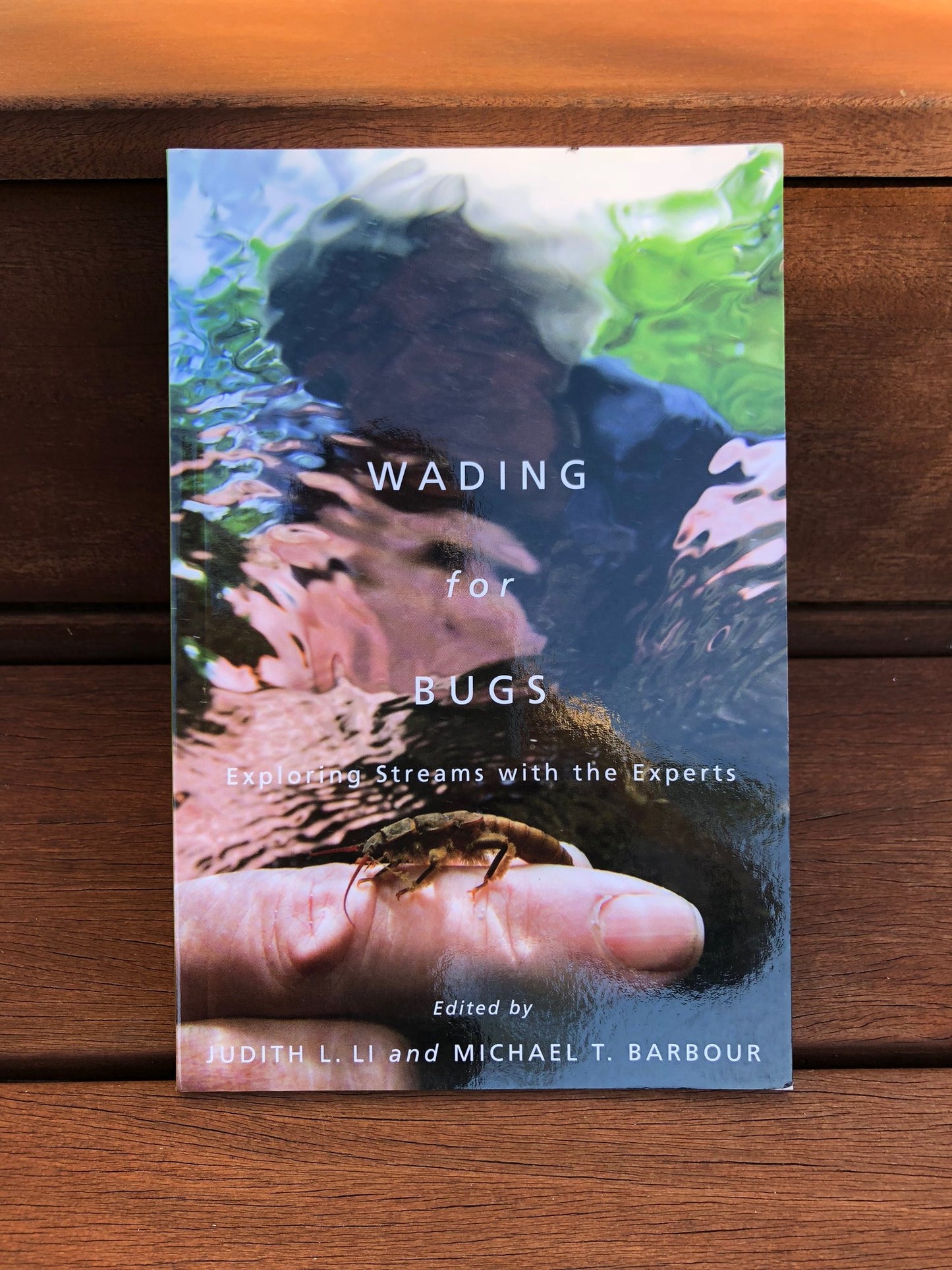 Wading for Bugs - exploring streams with the experts