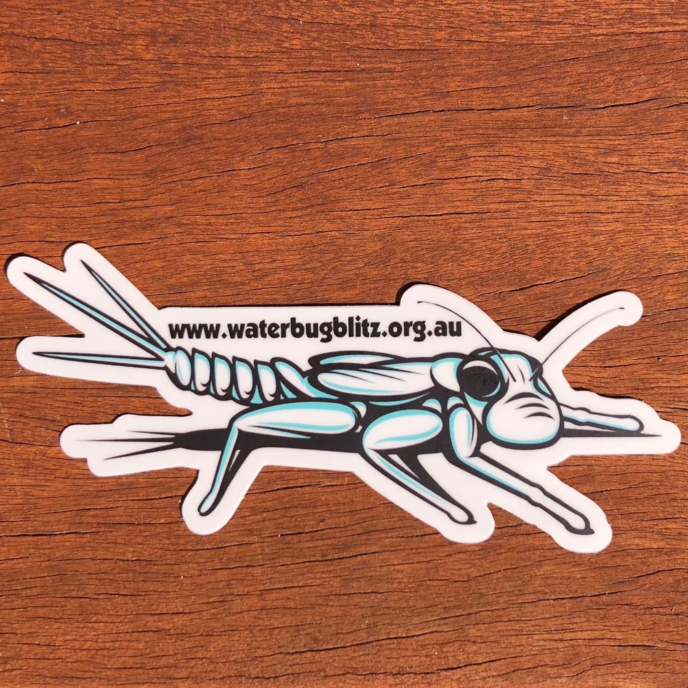National Waterbug Blitz bumper sticker