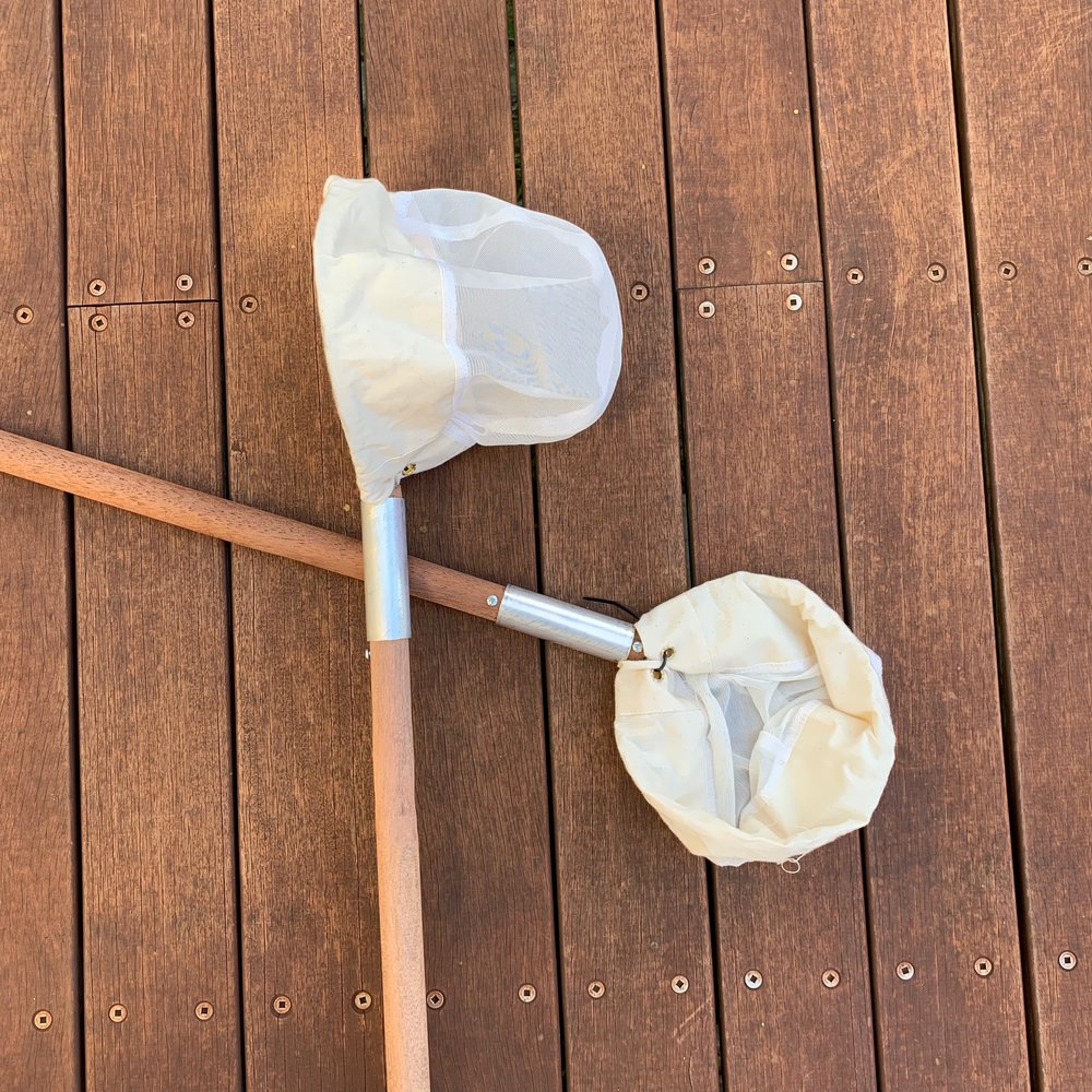 Student Waterbug sampling net