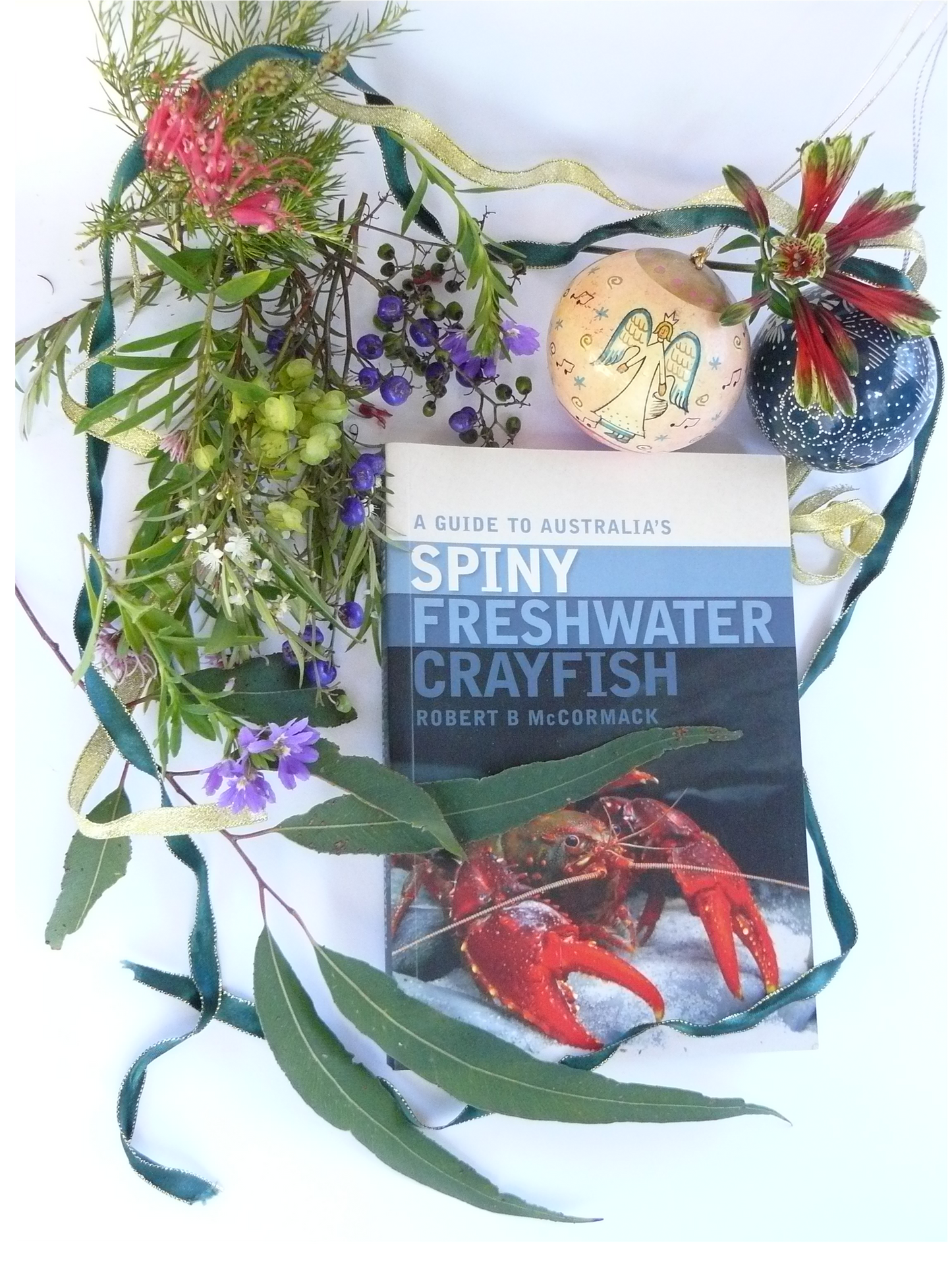 A Guide to Australia's Spiny Freshwater Crayfish