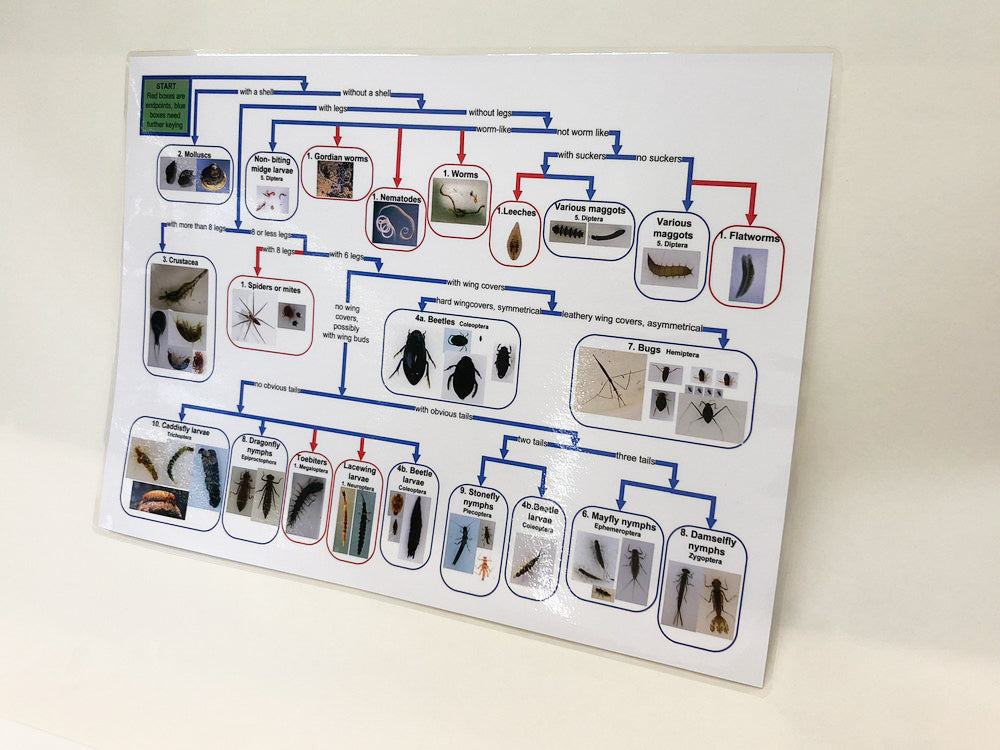 ALT Order Key A3 laminated poster