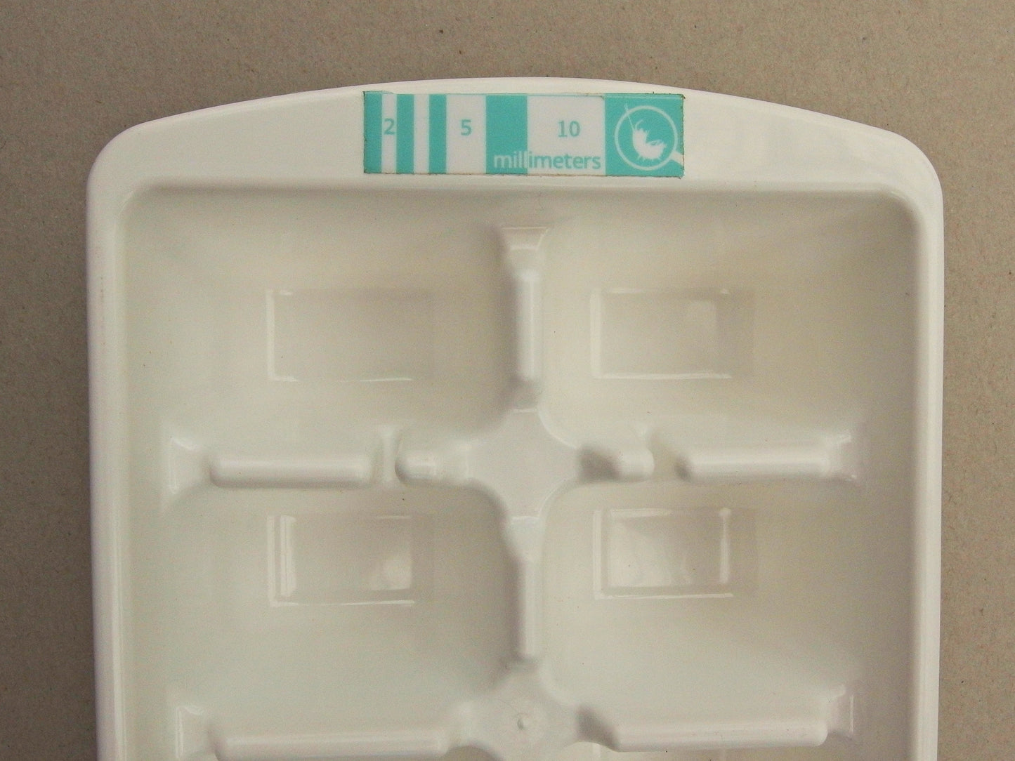 Waterbug Sorting Trays