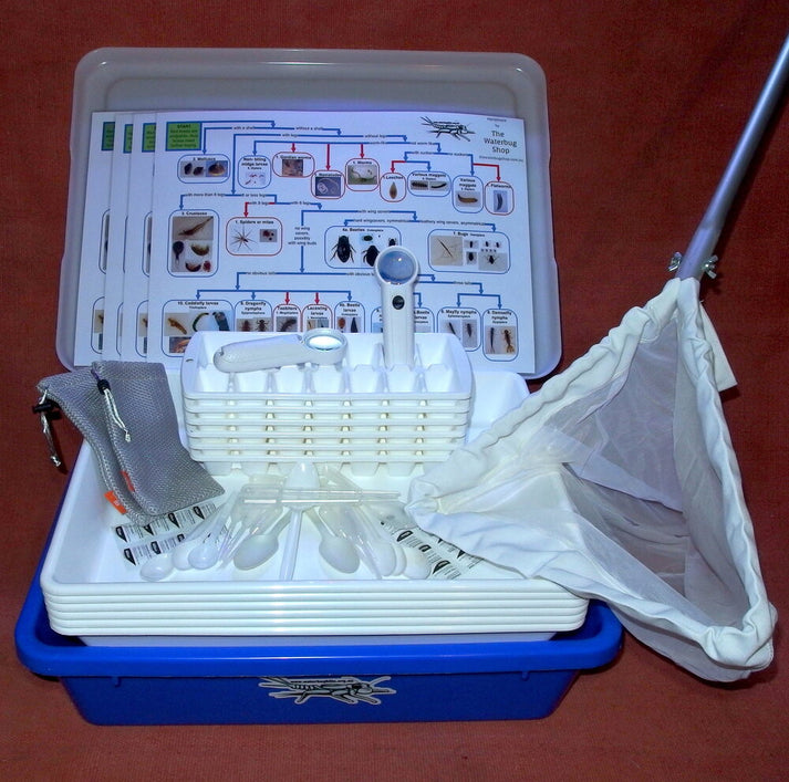 Expanded Waterbug kit – Embrace Ecology