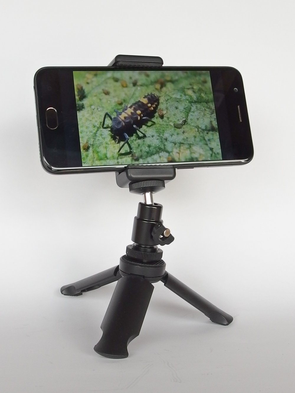 Mini Tripod with Ball Head and Phone Bracket